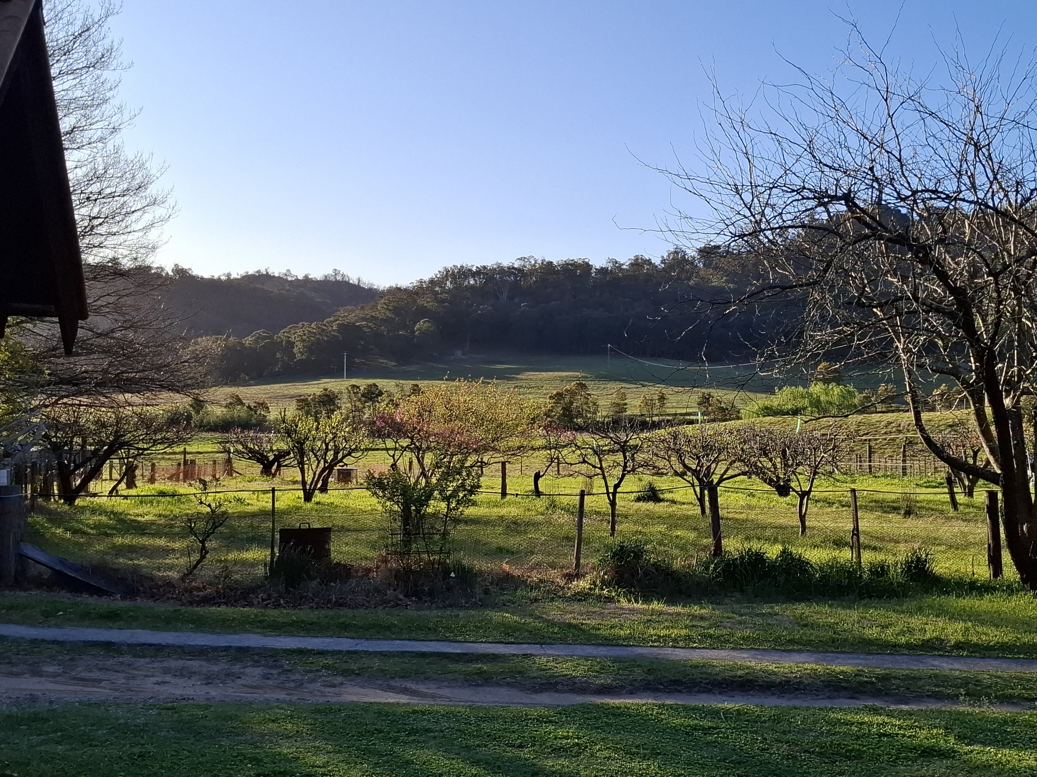 The view from the house